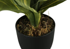 Artificial Dracaena Plant - 17" Tall Indoor Decoration