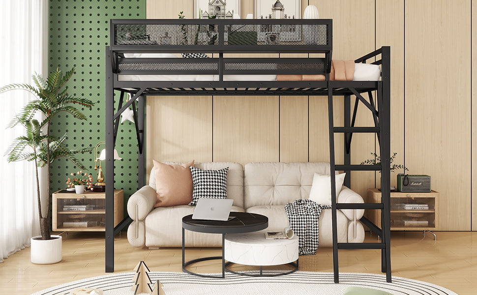 Full Size Loft Bed with Ladder