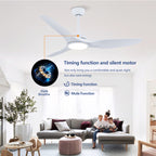 52 Inch ABS Blades Ceiling Fan With Light Kit