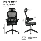 High Back Ergonomic Office Chair