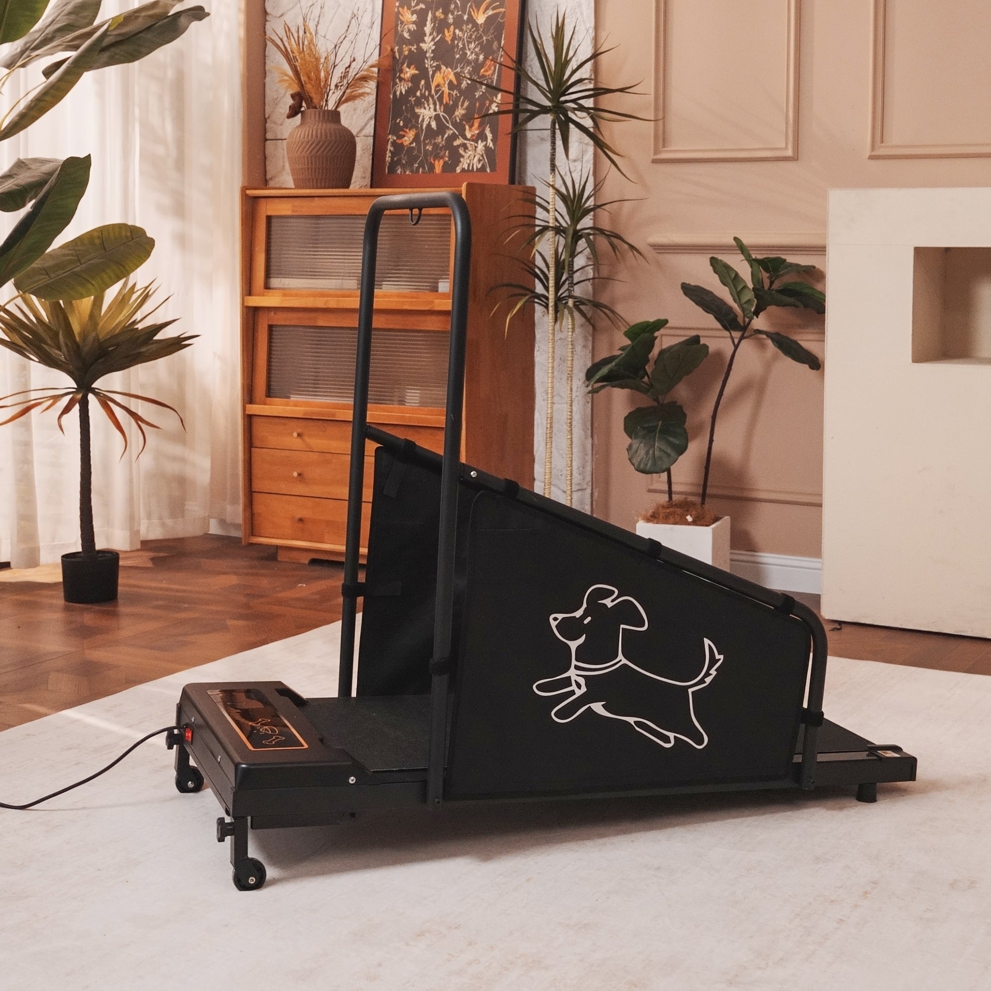 Dog Treadmill for Medium Dogs - Dog Pacer Treadmill