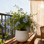 11" Dia x 9.06" H Large Round Planters for Indoor Plants