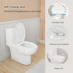 Tornado Flush One-Piece Toilet with Comfort Chair Seat