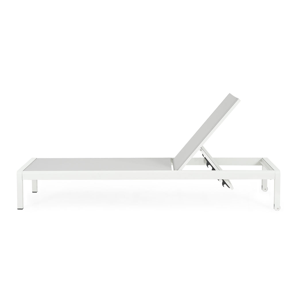 Outdoor Chaise Lounge Chair Set of 2