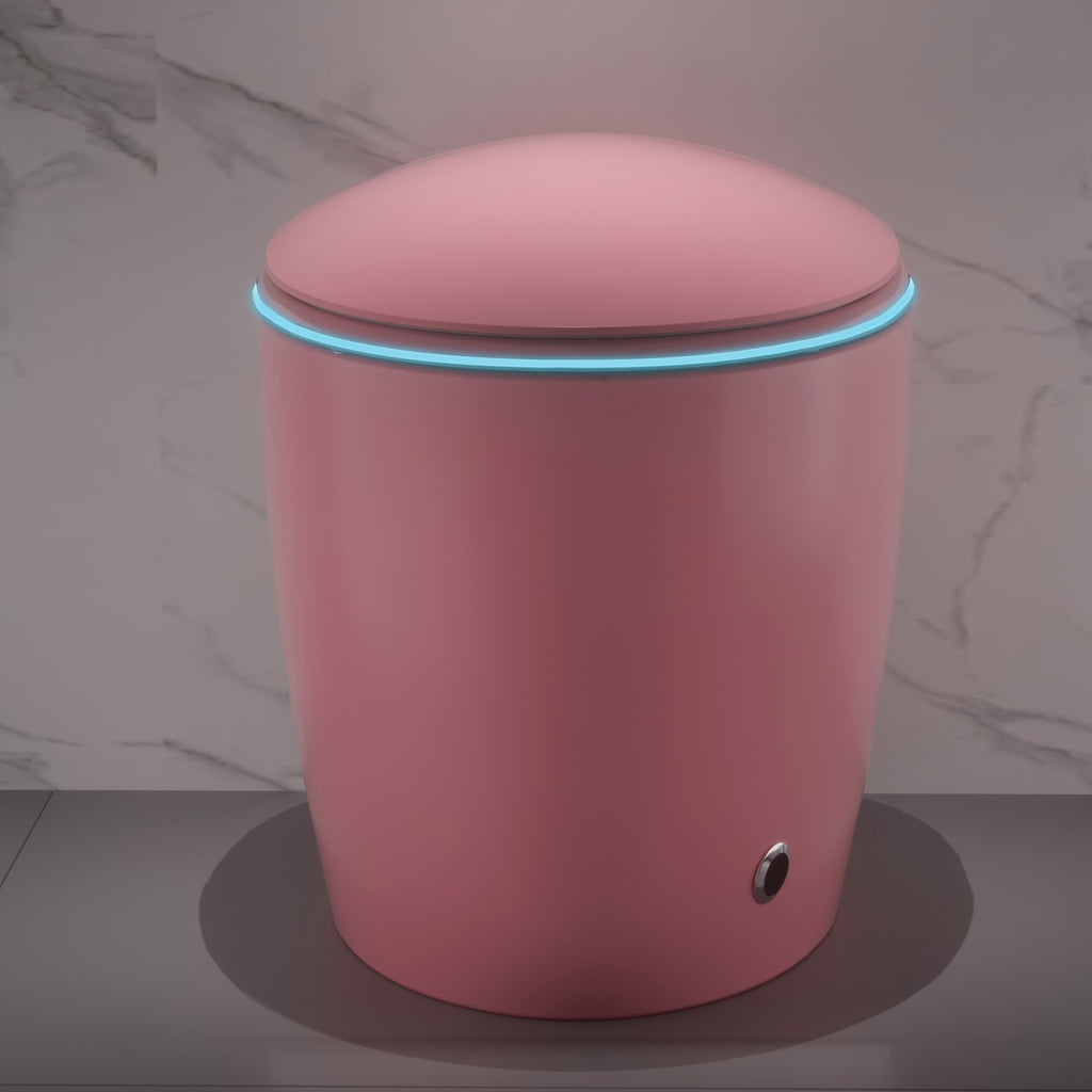 Unique Smart Toilet with Bidet Built In