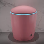 Unique Smart Toilet with Bidet Built In