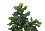 Artificial Fiddle Tree Plant - 47" Tall