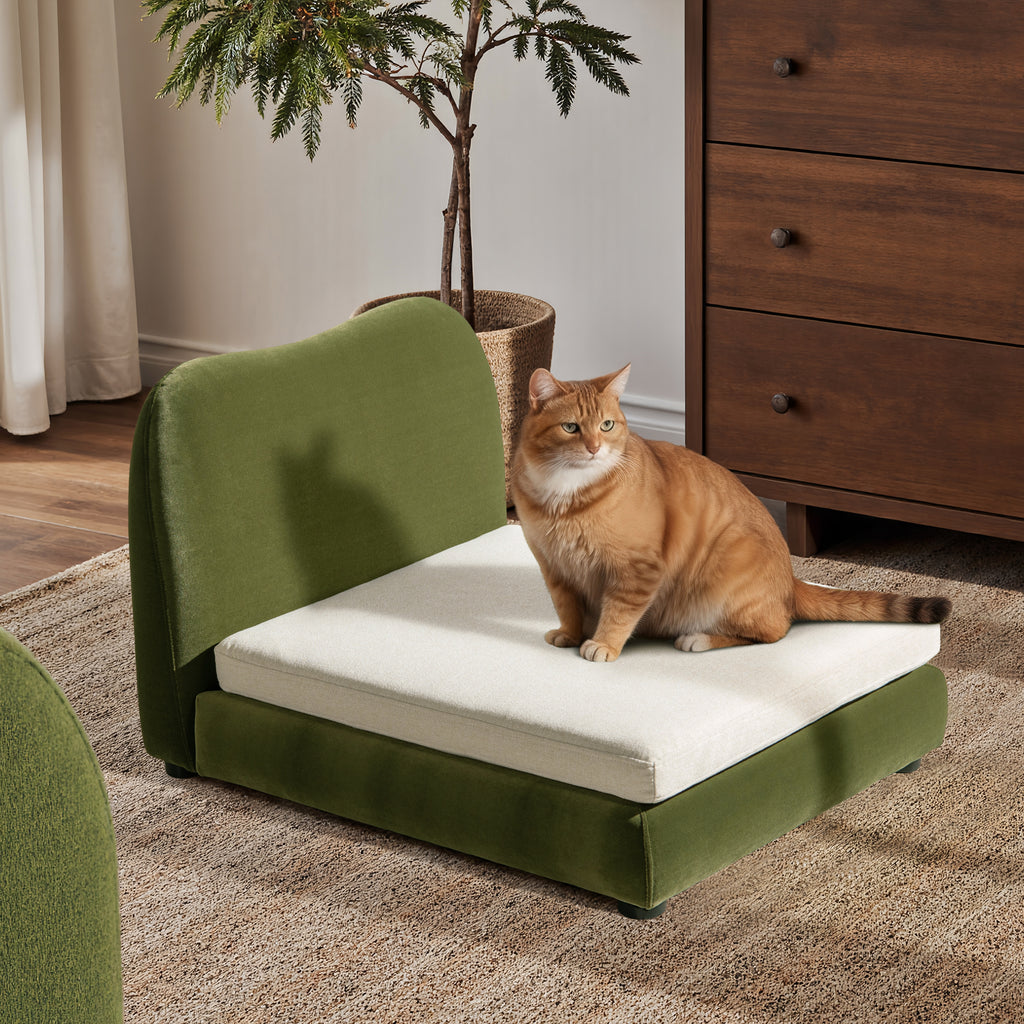 Roman Upholstered Modern Pet Bed - Olive