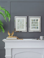S/2 Liana Mirror Framed Wall Art