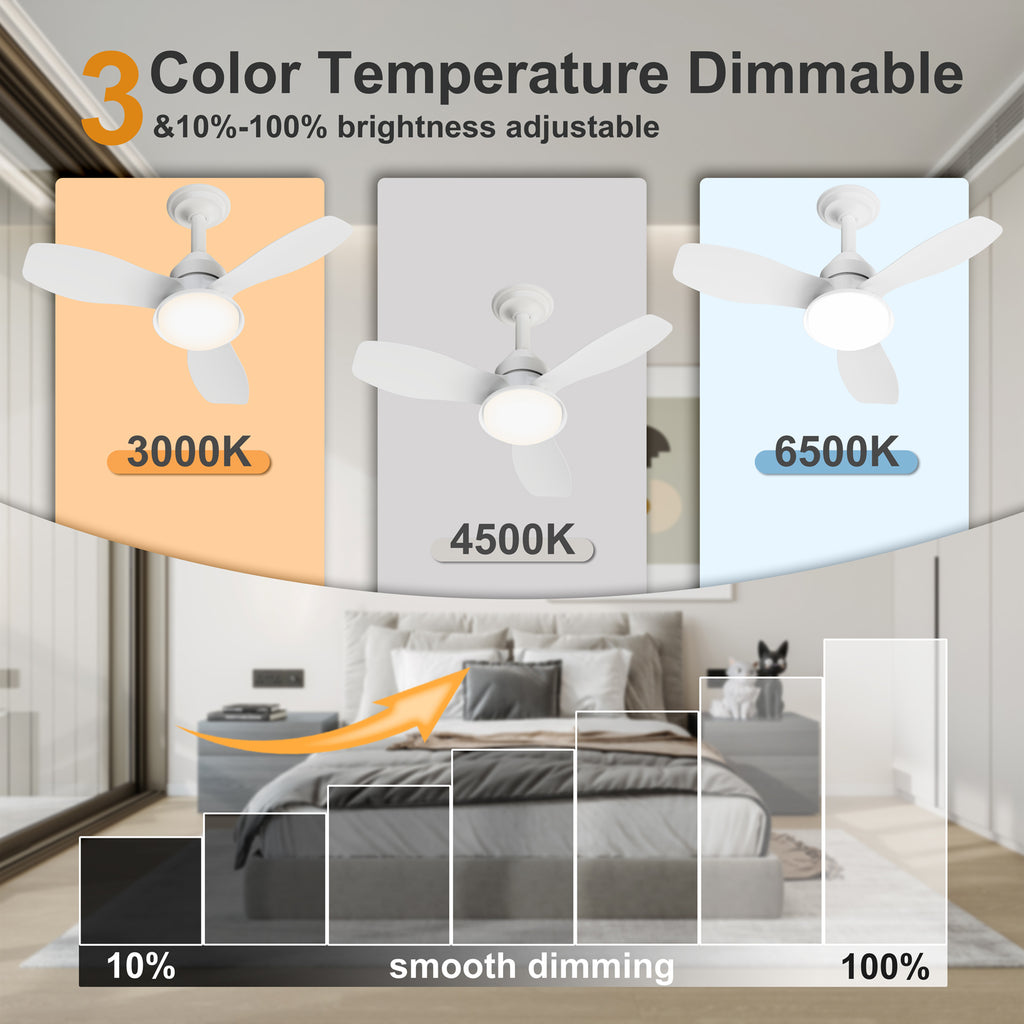 24.4" Modern Ceiling Fan