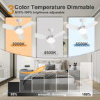 24.4" Modern Ceiling Fan