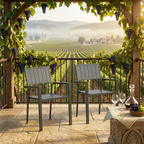 Modern Outdoor Indoor Metal Side Chair Set of 2