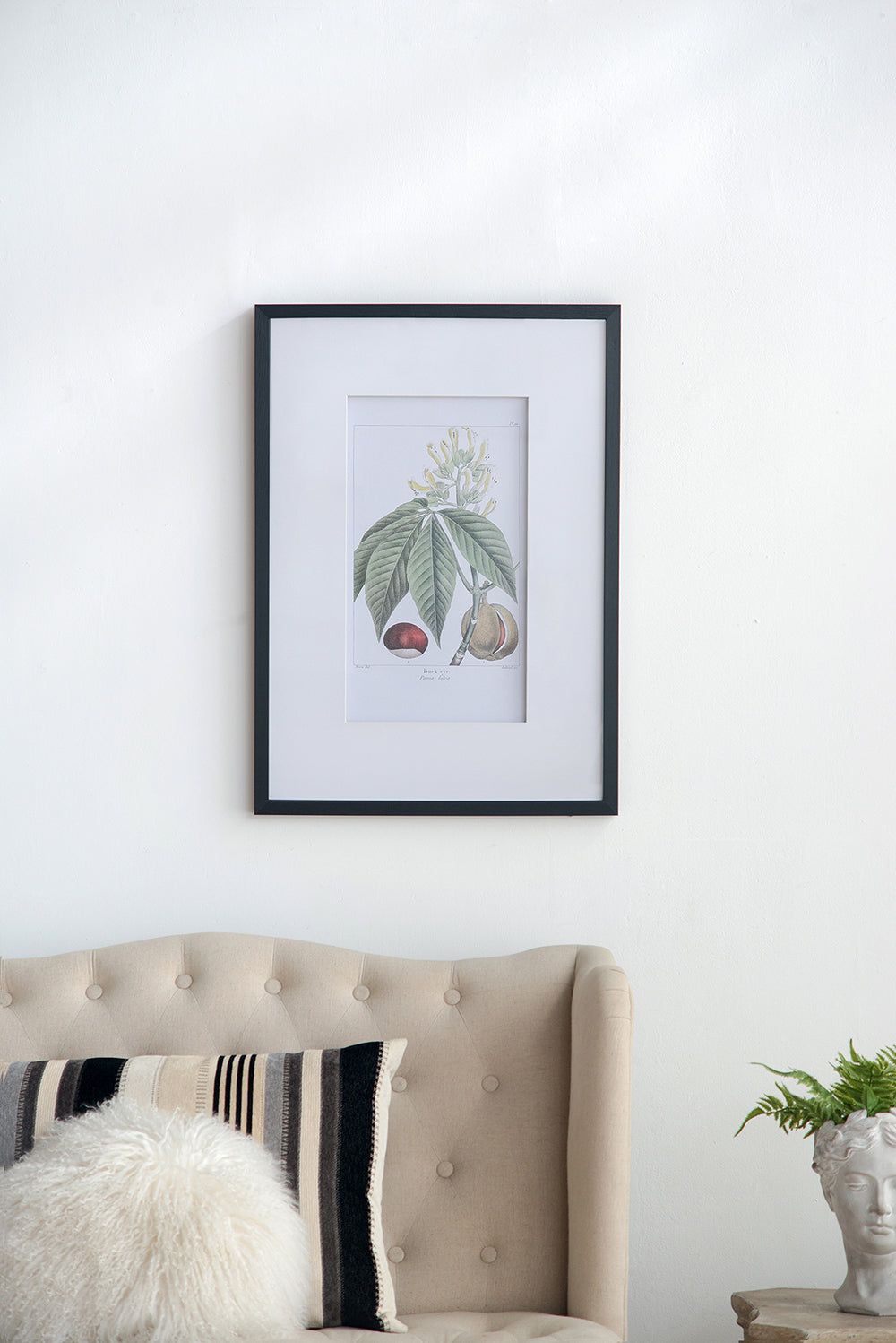 19.7x27.6" Botanical Wall Art Set of 2