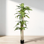 6' Artificial Dracaena Tree