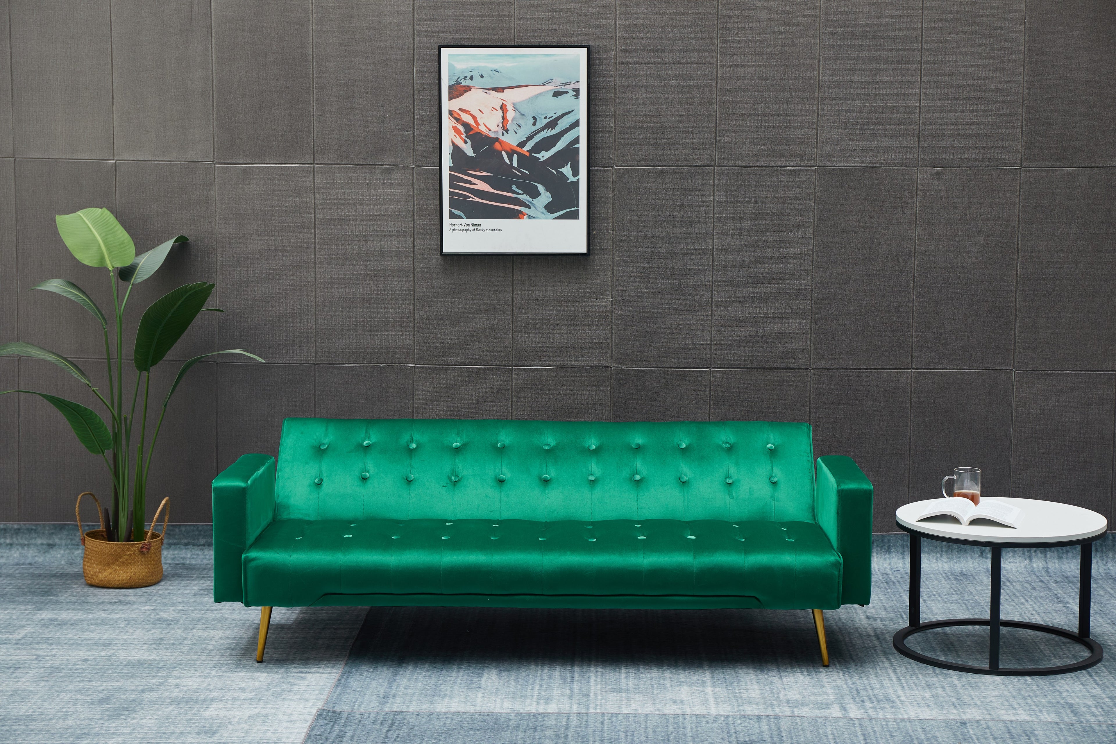 Sofa Bed
