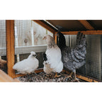 Wire Mesh Fence Roll 60in x 50ft