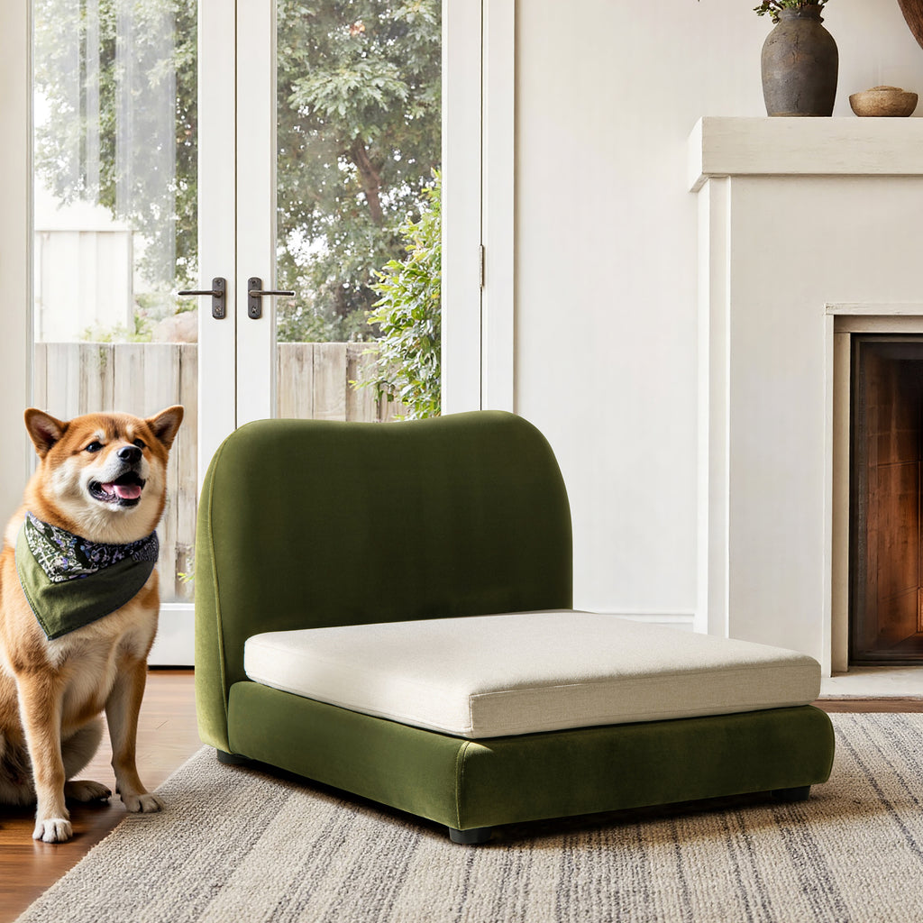 Roman Upholstered Modern Pet Bed - Olive