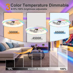 23.6" Modern RGB Ceiling Fan with Lights