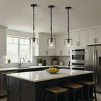 Modern Industrial Pendant Light with Clear Glass Shade