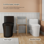 Tornado Flush One-Piece Elongated Toilet
