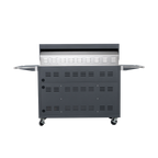 Grey Painting LPG 49'' Stainless Steel Standard Grill