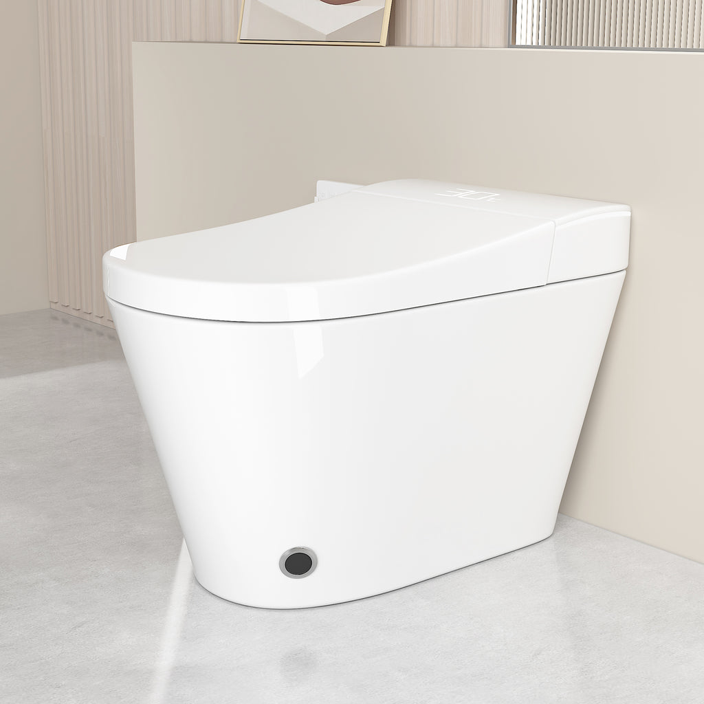 Unique Smart Toilet with Integrated Bidet