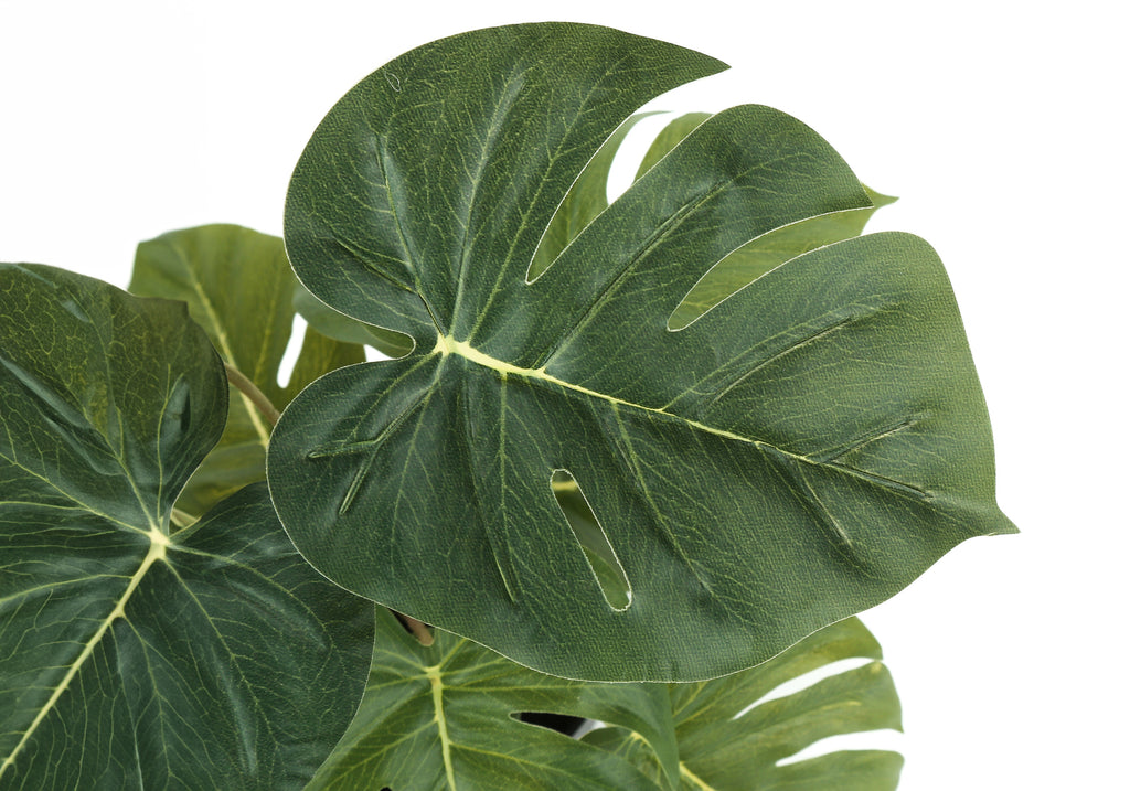 Artificial Plant Set of 2 - 13" Tall Monstera Calathea