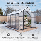 Newly Design Aluminum Frame Greenhouse 8x10 FT