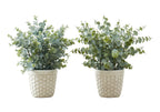Artificial Eucalyptus Grass Plants – Set of 2