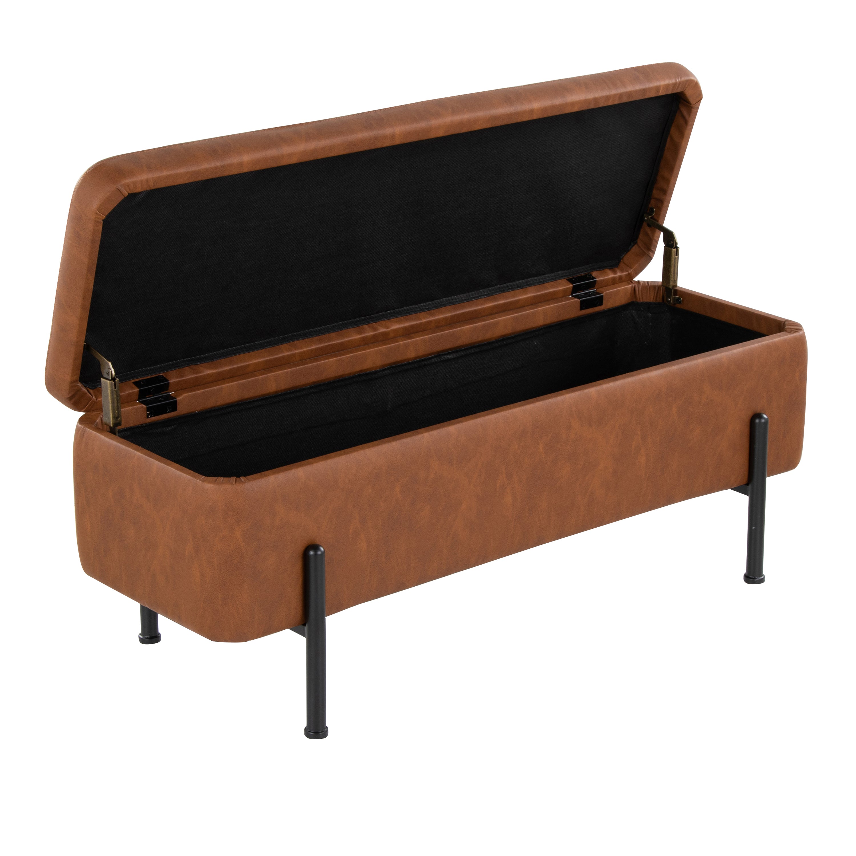 Daniella Contemporary Storage Bench