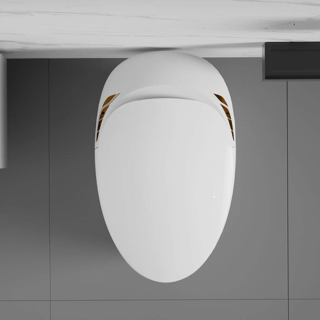 Unique Smart Toilet with Built-In Bidet