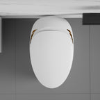 Unique Smart Toilet with Built-In Bidet