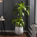 Janamuato White Geometric Cement Outdoor Planter