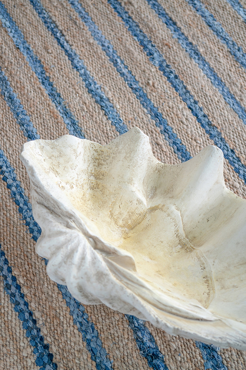 Large Clam Shell Accent