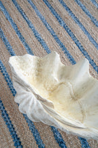 Large Clam Shell Accent