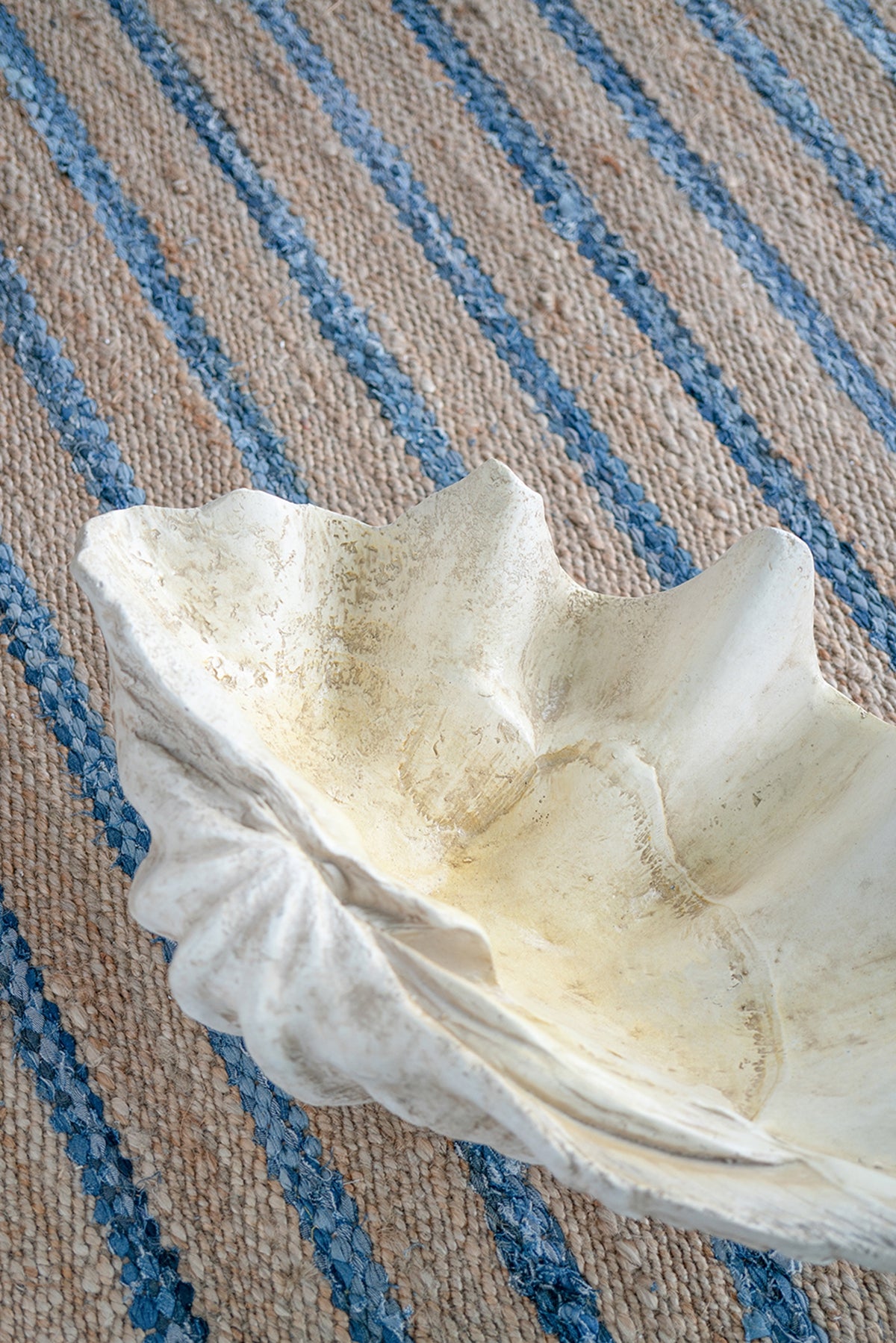 Large Clam Shell Accent