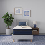 12 Inch Twin Size Medium Firm Euro Top Hybrid Mattress