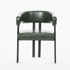 Modern Dining Chairs Set of 2