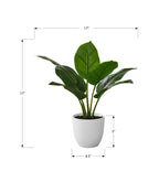 Artificial Plant - 17" Tall Aureum - Indoor Faux Greenery
