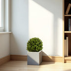 Boxwood Ball Shaped Artificial Topiary Shrubs Set of 2