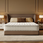 12 Inch Hybrid Queen Mattress in a Box