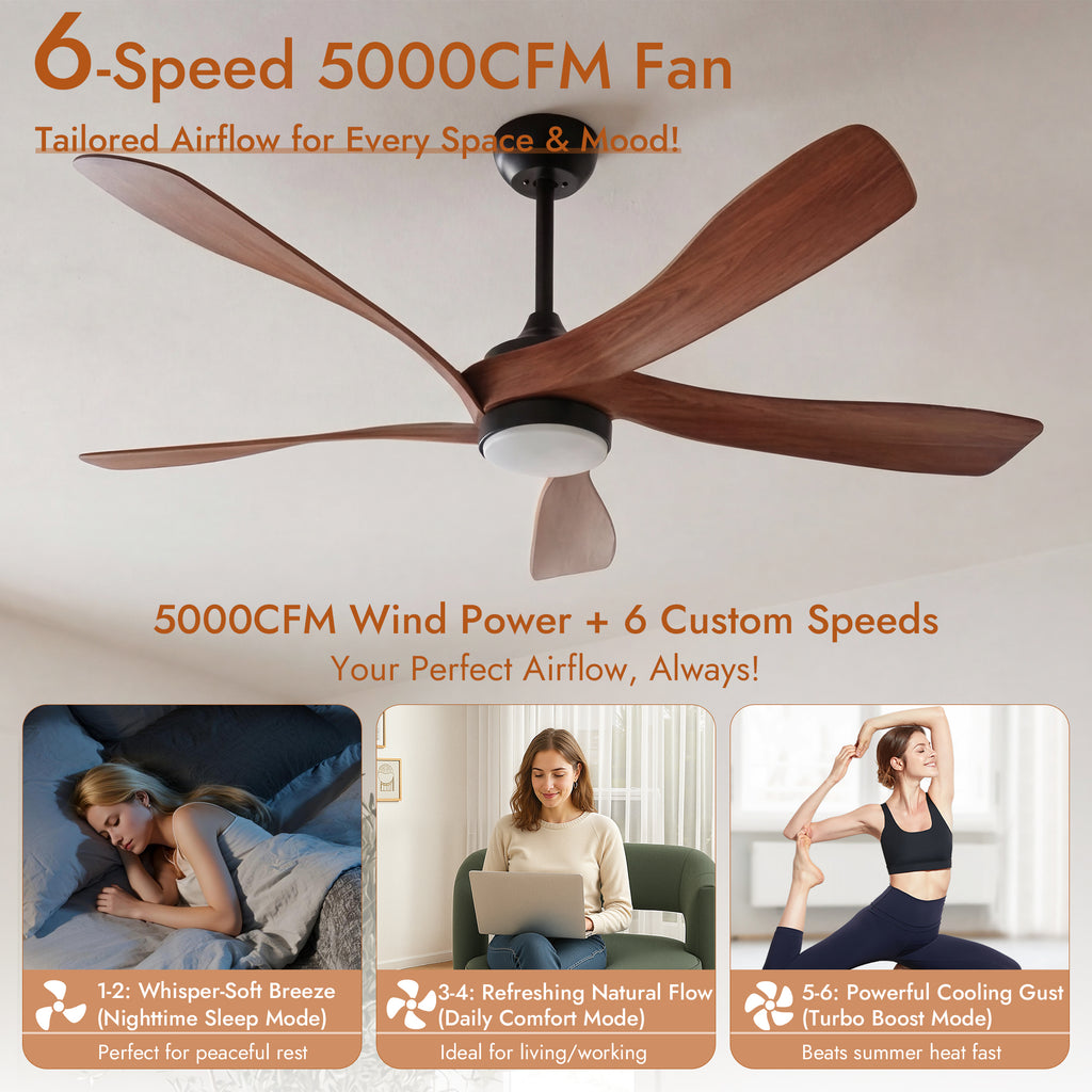 52 Inch Ceiling Fan with Light