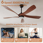 52 Inch Ceiling Fan with Light