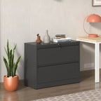2 Drawer Lateral File Cabinet with Lock