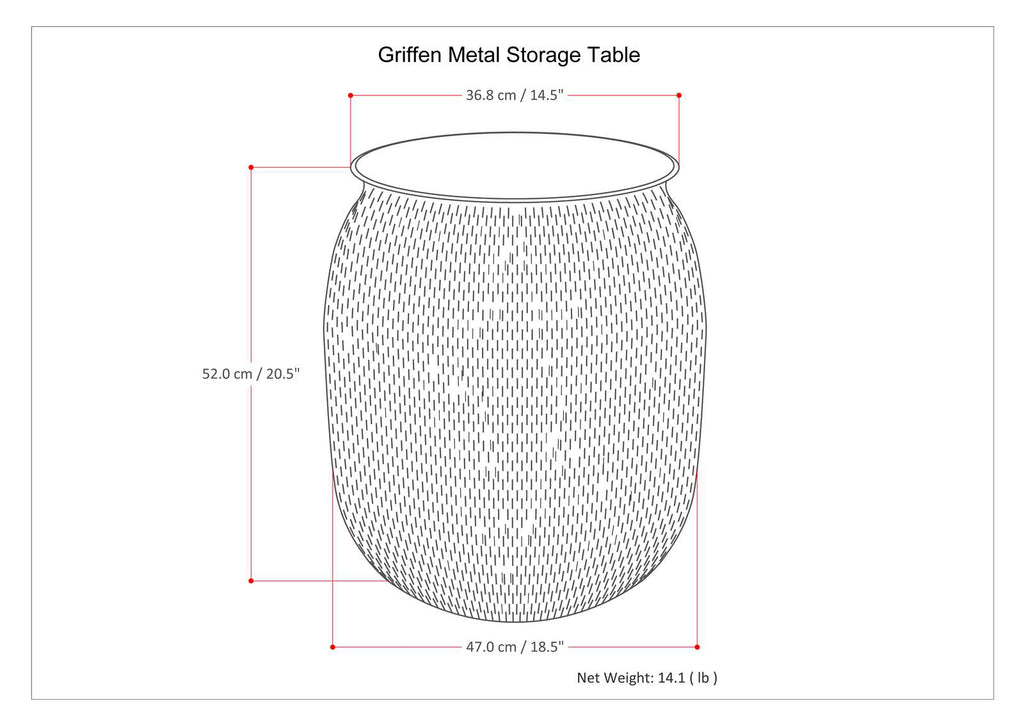 Griffen 19 Inch Wide Metal Storage Accent Table