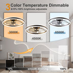 Smart Ceiling Fan with LED Light