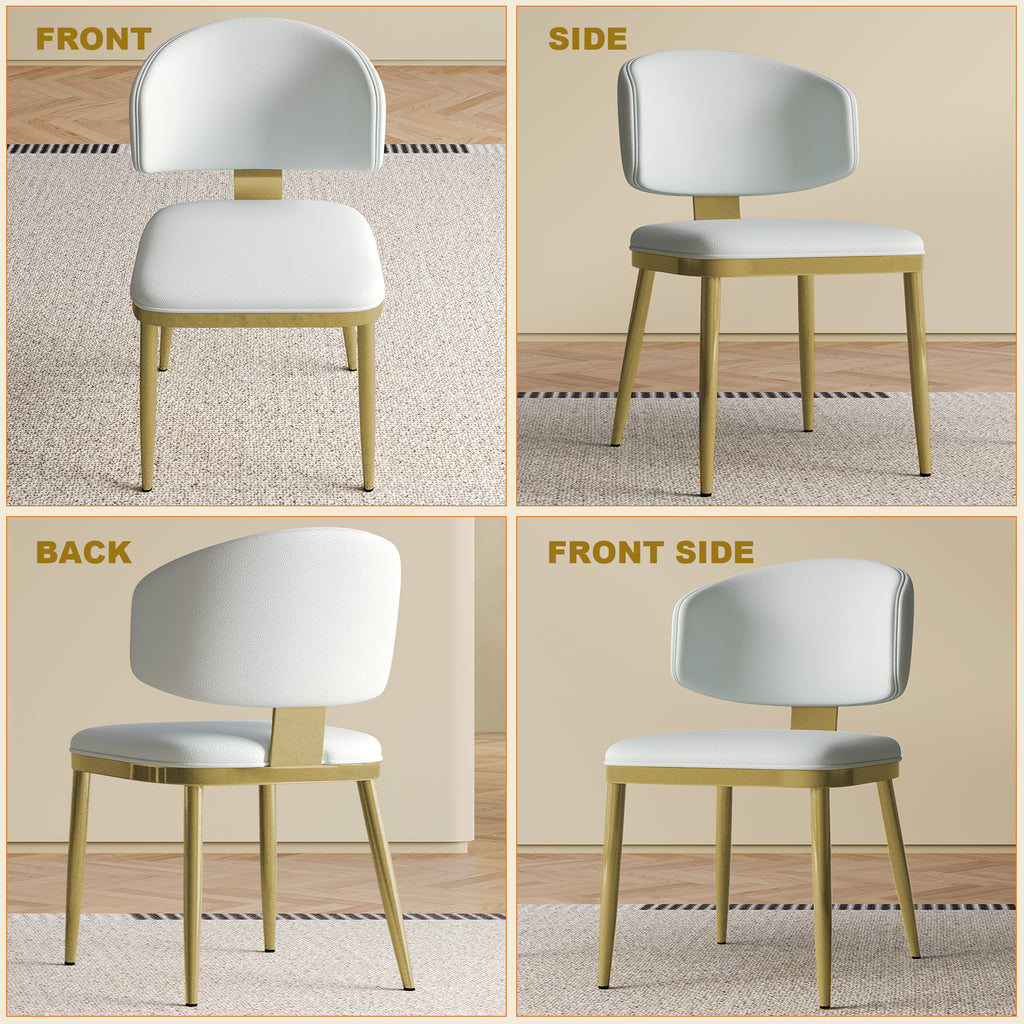 Dining Chairs Set of 2 in Modern Design