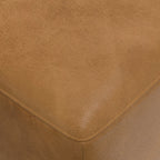 Rex Ottoman