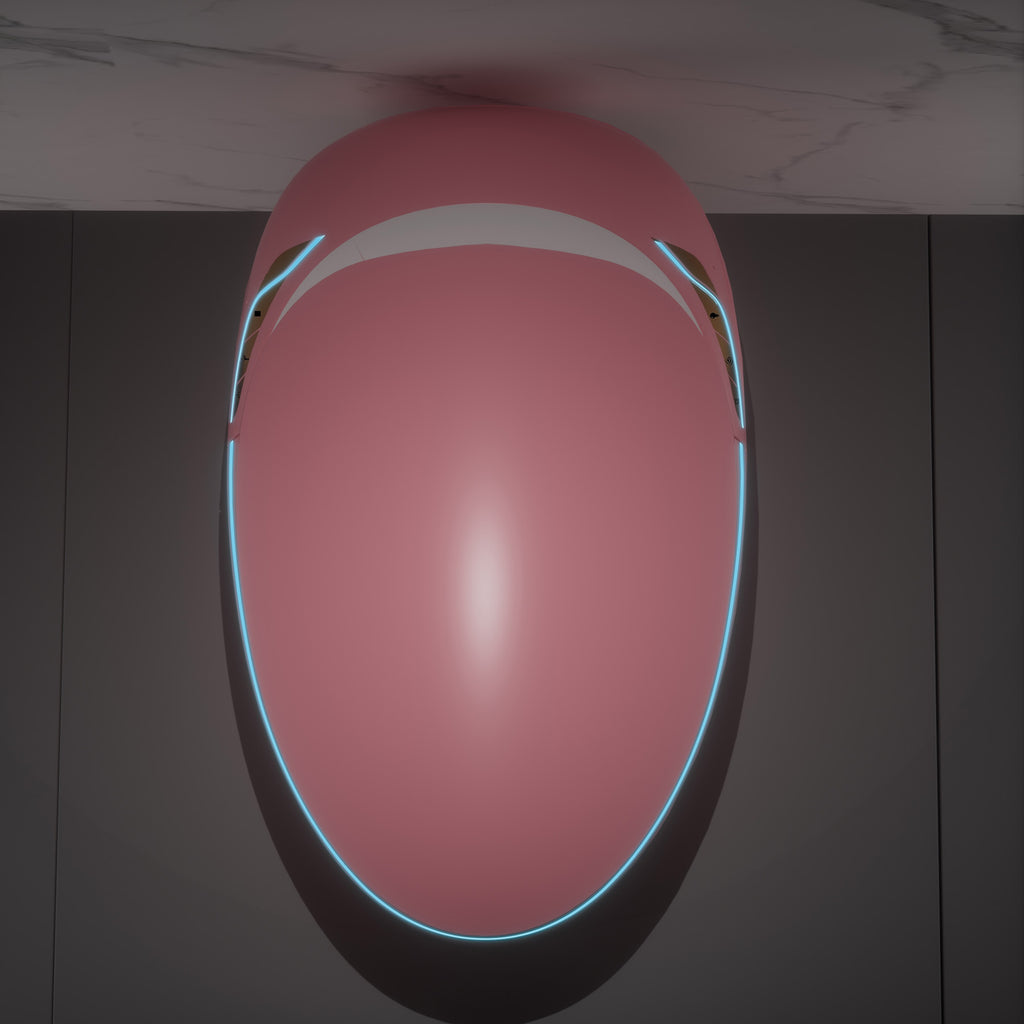 Unique Smart Toilet with Bidet Built In