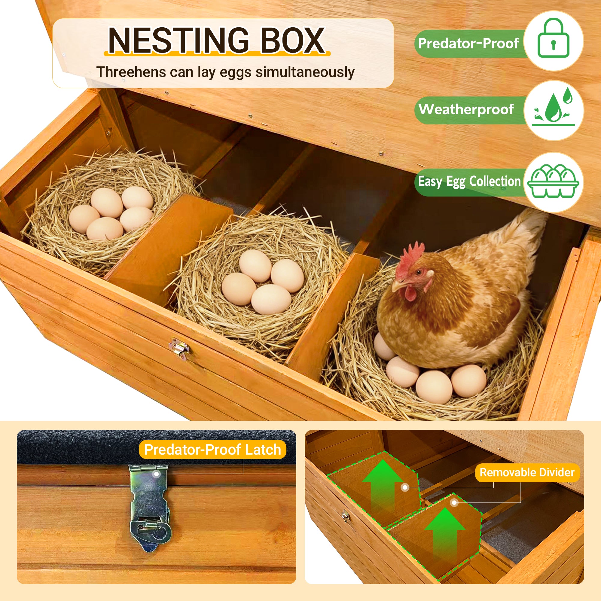 Double-House Wooden Chicken Coop For 6-8 Chickens